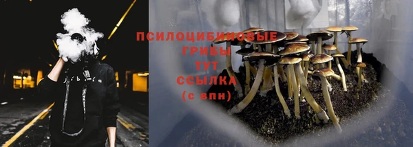 ешки Алексеевка