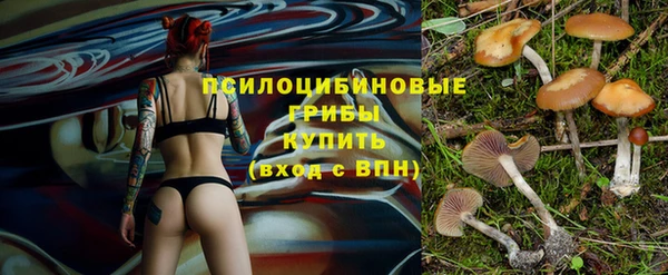 ешки Армянск