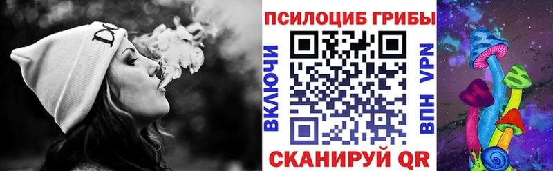 как найти наркотики  Кирово-Чепецк  маркетплейс наркотические препараты  Галлюциногенные грибы Psilocybine cubensis 