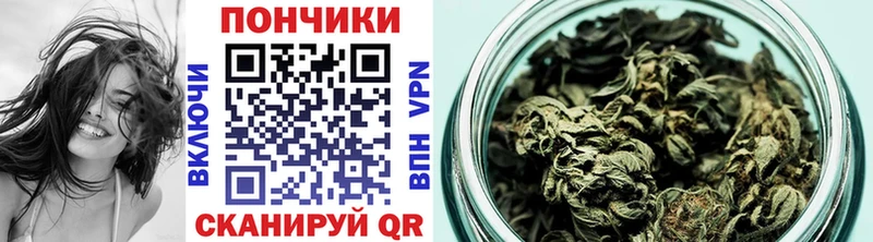 блэк спрут   наркошоп  Кирово-Чепецк  Шишки марихуана семена 